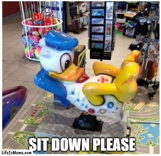 the name of the guy who made this | SIT DOWN PLEASE | image tagged in donald duck ride funny,donald duck,911 | made w/ Lifeismeme meme maker