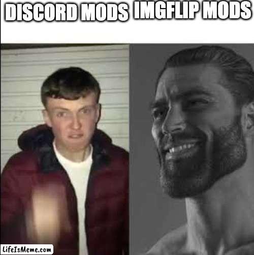 fr though | IMGFLIP MODS; DISCORD MODS | image tagged in giga chad template,giga chad,mods,imgflip mods | made w/ Lifeismeme meme maker