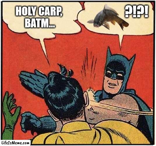 holy carp | ?!?! HOLY CARP, 
BATM... | image tagged in batman slapping robin | made w/ Lifeismeme meme maker