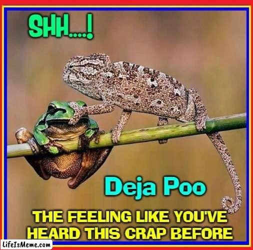 Déjà Poo | image tagged in vince vance,deja vu,memes,lizard,frogs,shhhh | made w/ Lifeismeme meme maker