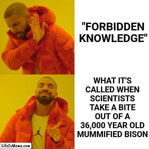 Why Didn't Someone Just Say No? | "FORBIDDEN KNOWLEDGE"; WHAT IT'S CALLED WHEN SCIENTISTS TAKE A BITE OUT OF A 36,000 YEAR OLD MUMMIFIED BISON | image tagged in memes,drake hotline bling,no just no,no,ewwww,ewww | made w/ Lifeismeme meme maker