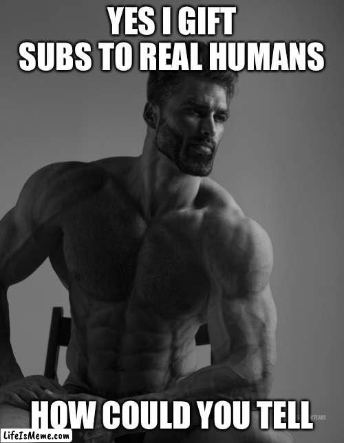 Twitch related | YES I GIFT SUBS TO REAL HUMANS; HOW COULD YOU TELL | image tagged in giga chad | made w/ Lifeismeme meme maker