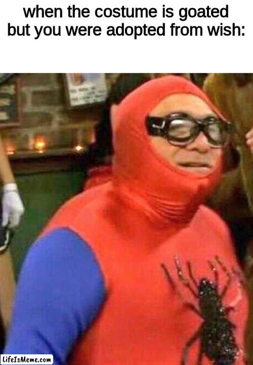 Danny Devito dressed as Spider-man | when the costume is goated but you were adopted from wish: | image tagged in spiderman,danny phantom,funny memes | made w/ Lifeismeme meme maker