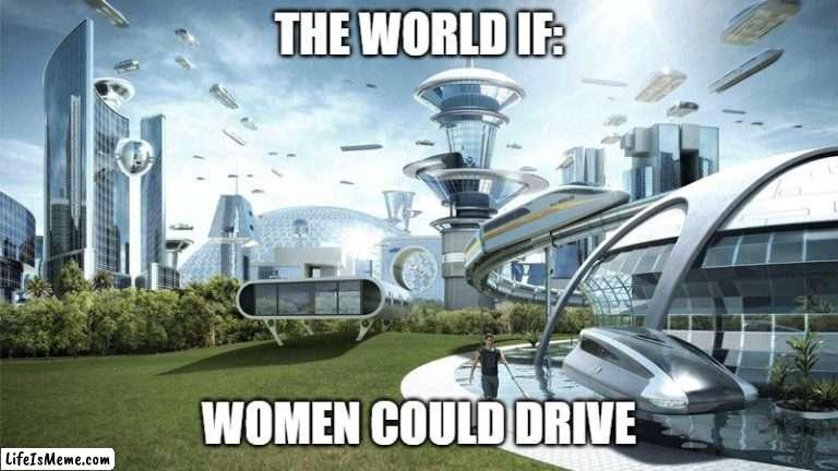 women moment | THE WORLD IF:; WOMEN COULD DRIVE | image tagged in the future world if | made w/ Lifeismeme meme maker