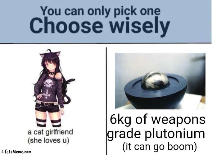 the choice is obvious | 6kg of weapons grade plutonium; (it can go boom) | image tagged in choose wisely | made w/ Lifeismeme meme maker