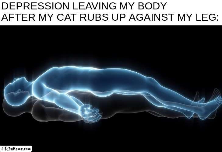 truly the thing that can cure all of depression | DEPRESSION LEAVING MY BODY AFTER MY CAT RUBS UP AGAINST MY LEG: | image tagged in soul leaving body,cats,relatable,funni | made w/ Lifeismeme meme maker