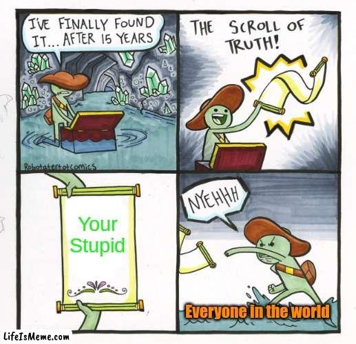 Wise Scroll | Your Stupid; Everyone in the world | image tagged in memes,the scroll of truth,truth | made w/ Lifeismeme meme maker