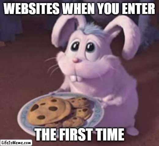 I know it's been done, but not this guy. | WEBSITES WHEN YOU ENTER; THE FIRST TIME | image tagged in relatable memes,memes,funny | made w/ Lifeismeme meme maker