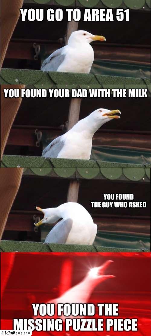 Area 51 | YOU GO TO AREA 51; YOU FOUND YOUR DAD WITH THE MILK; YOU FOUND THE GUY WHO ASKED; YOU FOUND THE MISSING PUZZLE PIECE | image tagged in memes,inhaling seagull | made w/ Lifeismeme meme maker