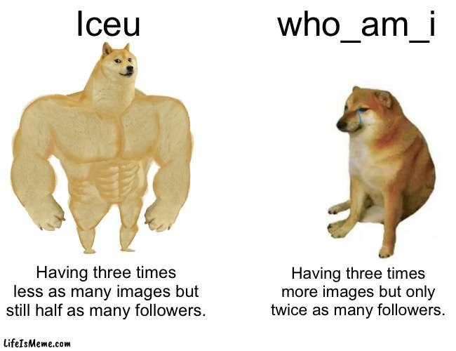 Iceu is better!!! | Iceu; who_am_i; Having three times less as many images but still half as many followers. Having three times more images but only twice as many followers. | image tagged in memes,buff doge vs cheems,iceu | made w/ Lifeismeme meme maker