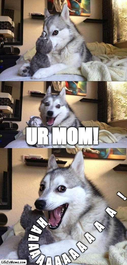 HAAAAAAAAAA! | UR MOM! ! A; H; A; A; A; A; A; A; A; A; A; A; A; A | image tagged in memes,bad pun dog,ur mom | made w/ Lifeismeme meme maker