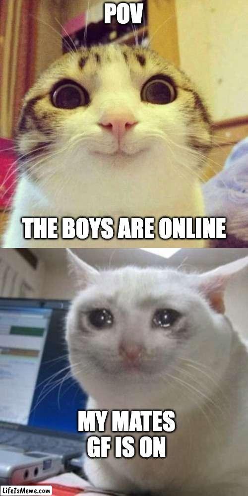 its sad | POV; THE BOYS ARE ONLINE; MY MATES GF IS ON | image tagged in memes,smiling cat,crying cat | made w/ Lifeismeme meme maker