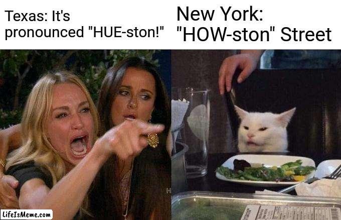 Houston | Texas: It's pronounced "HUE-ston!"; New York: "HOW-ston" Street | image tagged in memes,woman yelling at cat,houston texans | made w/ Lifeismeme meme maker