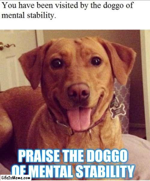 Mental Stability Doggo | PRAISE THE DOGGO OF MENTAL STABILITY | image tagged in doggo,mental health | made w/ Lifeismeme meme maker