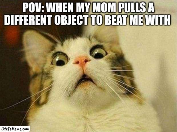 I am  dead | POV: WHEN MY MOM PULLS A DIFFERENT OBJECT TO BEAT ME WITH | image tagged in memes,scared cat | made w/ Lifeismeme meme maker