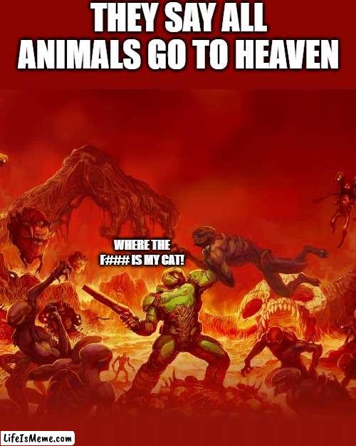 WHERE IS MY CAT!??!?! | THEY SAY ALL ANIMALS GO TO HEAVEN; WHERE THE F### IS MY CAT! | image tagged in animals,heaven | made w/ Lifeismeme meme maker