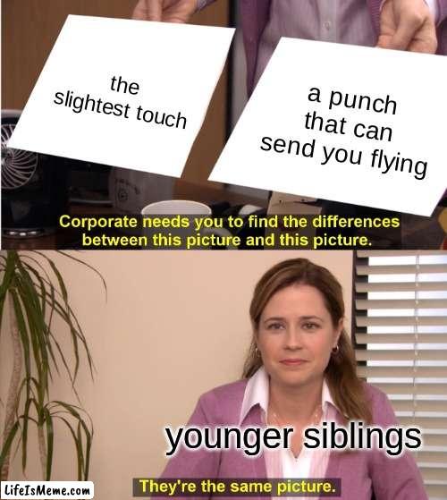 dont touch your siblings | the slightest touch; a punch that can send you flying; younger siblings | image tagged in memes,they're the same picture | made w/ Lifeismeme meme maker