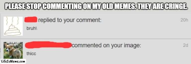 While some of my old memes are good, I had a lot back then that made me look bad. So, please stop. It's embarrassing. | PLEASE STOP COMMENTING ON MY OLD MEMES. THEY ARE CRINGE. | image tagged in old memes,dies from cringe,necroposting | made w/ Lifeismeme meme maker