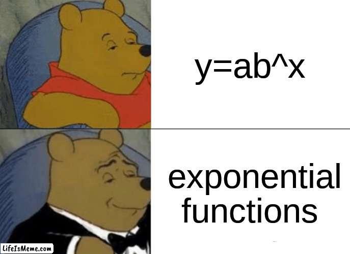 exponential functions vs y=ab^x | y=ab^x; exponential functions | image tagged in memes,tuxedo winnie the pooh | made w/ Lifeismeme meme maker