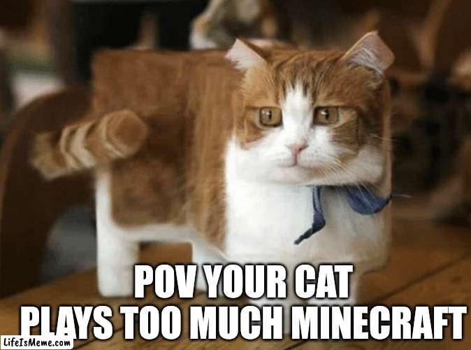 Me as a cat lol | POV YOUR CAT PLAYS TOO MUCH MINECRAFT | image tagged in minecraft,cat,this is my life | made w/ Lifeismeme meme maker