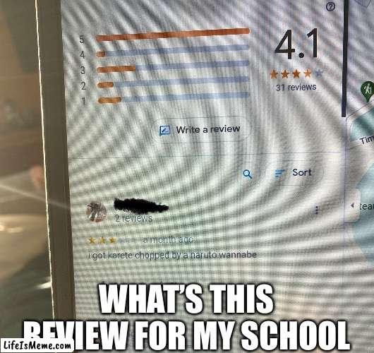 Ok what | WHAT’S THIS REVIEW FOR MY SCHOOL | image tagged in school,what,funny memes,fun stream | made w/ Lifeismeme meme maker