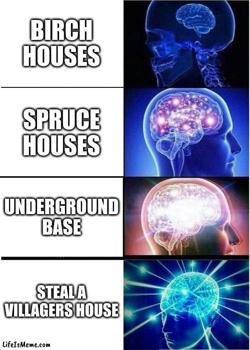 houses in minecraft | BIRCH HOUSES; SPRUCE HOUSES; UNDERGROUND BASE; STEAL A VILLAGERS HOUSE | image tagged in memes,expanding brain | made w/ Lifeismeme meme maker