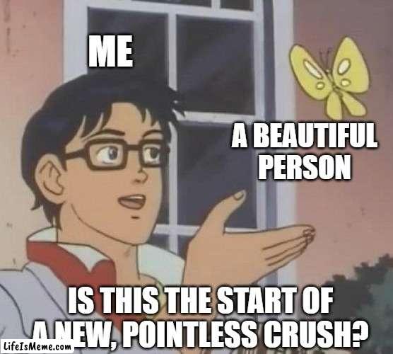 the thoughts of an omni | ME; A BEAUTIFUL PERSON; IS THIS THE START OF A NEW, POINTLESS CRUSH? | image tagged in memes,is this a pigeon | made w/ Lifeismeme meme maker