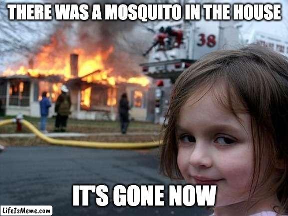 Epik | THERE WAS A MOSQUITO IN THE HOUSE; IT'S GONE NOW | image tagged in memes,disaster girl | made w/ Lifeismeme meme maker