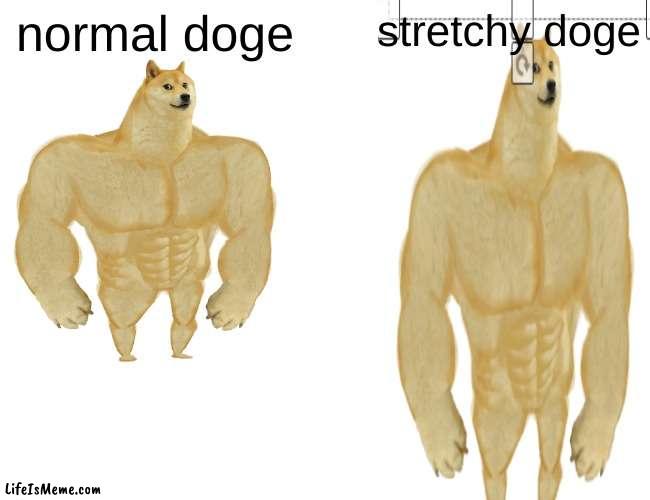 stretch | normal doge; stretchy doge | image tagged in memes,buff doge vs cheems | made w/ Lifeismeme meme maker