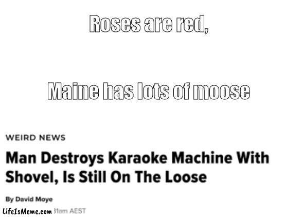 He had to be from florida | Roses are red, Maine has lots of moose | image tagged in blank white template,roses are red,meanwhile in florida,what,oh wow are you actually reading these tags,stop reading the tags | made w/ Lifeismeme meme maker