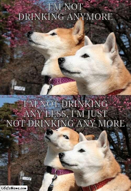 Not drinking anymore | I'M NOT DRINKING ANYMORE; I'M NOT DRINKING ANY LESS, I'M JUST NOT DRINKING ANY MORE | image tagged in bad pun dogs | made w/ Lifeismeme meme maker