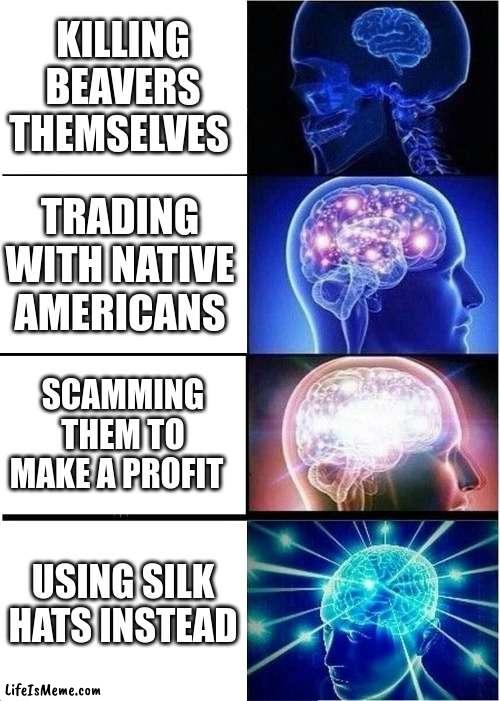 Europeans during the fur trade | KILLING BEAVERS THEMSELVES; TRADING WITH NATIVE AMERICANS; SCAMMING THEM TO MAKE A PROFIT; USING SILK HATS INSTEAD | image tagged in memes,expanding brain,fur trade,europeans | made w/ Lifeismeme meme maker