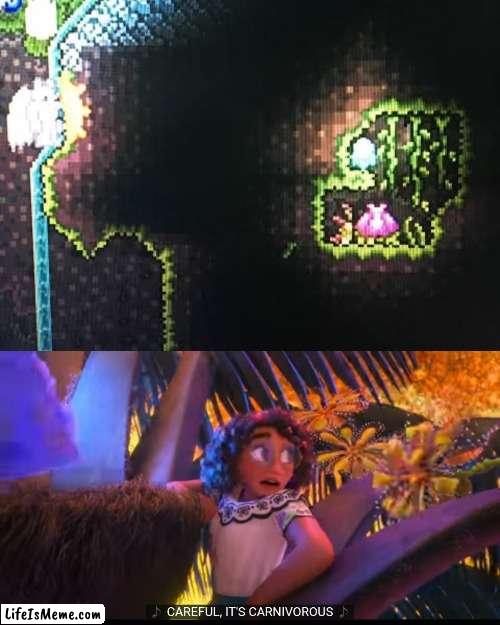 Terraria Memes | image tagged in terraria,encanto | made w/ Lifeismeme meme maker