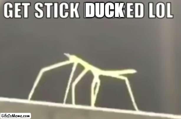 Stick duck | DUCK | image tagged in stickbug meme,movie,demotivationals,duck,memes | made w/ Lifeismeme meme maker