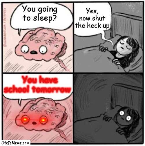 True.. pain at its finest | Yes, now shut the heck up; You going to sleep? You have school tomorrow | image tagged in brain before sleep | made w/ Lifeismeme meme maker