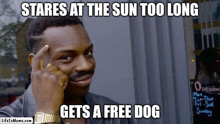 Here comes the sun, woof woof woof woof? | STARES AT THE SUN TOO LONG; GETS A FREE DOG | image tagged in memes,roll safe think about it | made w/ Lifeismeme meme maker