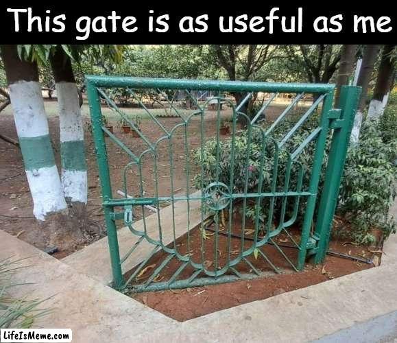 Ah, humor based on my pain | This gate is as useful as me | image tagged in funny,memes,gate,ooh self-burn those are rare,humor based on my pain | made w/ Lifeismeme meme maker