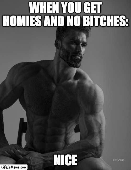 Giga Chad Doesn't Worry About Bitches... | WHEN YOU GET HOMIES AND NO BITCHES:; NICE | image tagged in giga chad | made w/ Lifeismeme meme maker