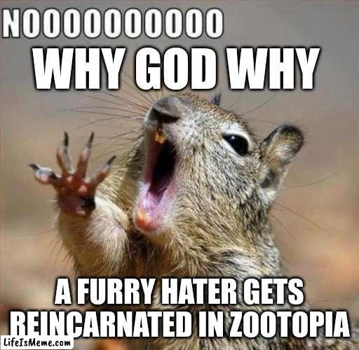 noooooooooooooooooooooooo | WHY GOD WHY; A FURRY HATER GETS REINCARNATED IN ZOOTOPIA | image tagged in noooooooooooooooooooooooo,so true memes,lol so funny | made w/ Lifeismeme meme maker