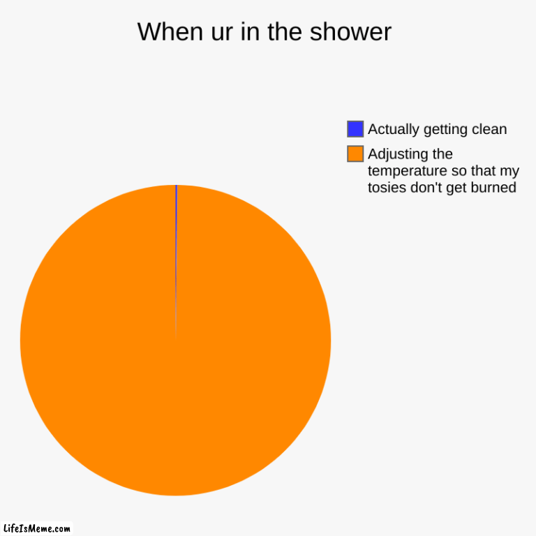 Showering | When ur in the shower | Adjusting the temperature so that my tosies don't get burned, Actually getting clean | image tagged in charts,pie charts | made w/ Lifeismeme chart maker