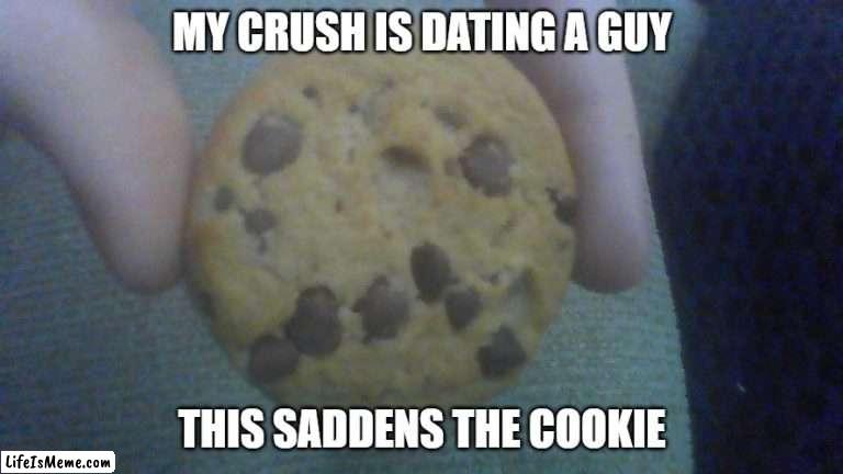 sad cookie | MY CRUSH IS DATING A GUY; THIS SADDENS THE COOKIE | image tagged in sad,cookie | made w/ Lifeismeme meme maker