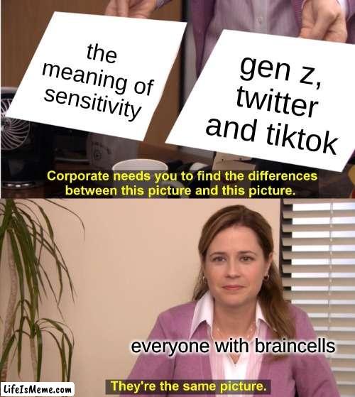 sensitivity meaning be like | the meaning of sensitivity; gen z, twitter and tiktok; everyone with braincells | image tagged in memes,they're the same picture,funny,funny memes,twitter,tiktok | made w/ Lifeismeme meme maker