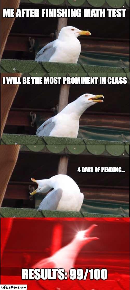 Overconfidence | ME AFTER FINISHING MATH TEST; I WILL BE THE MOST PROMINENT IN CLASS; 4 DAYS OF PENDING... RESULTS: 99/100 | image tagged in memes,inhaling seagull | made w/ Lifeismeme meme maker