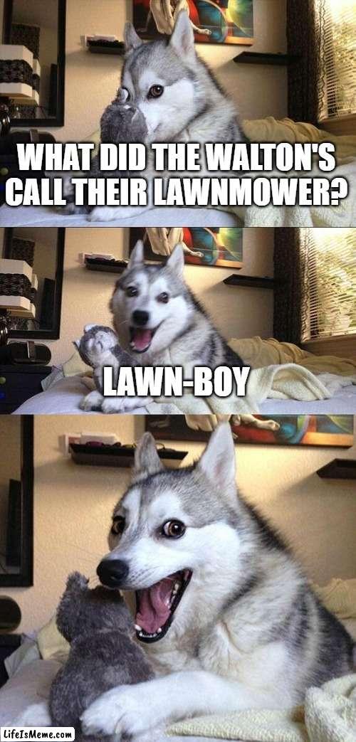 for folks of a certain age | WHAT DID THE WALTON'S CALL THEIR LAWNMOWER? LAWN-BOY | image tagged in memes,bad pun dog | made w/ Lifeismeme meme maker