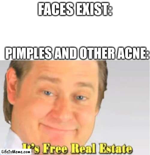 Relatable meme alert | FACES EXIST:; PIMPLES AND OTHER ACNE: | image tagged in it's free real estate | made w/ Lifeismeme meme maker