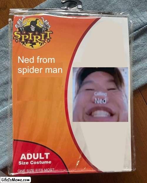 I’m late but idc | Ned from spider man | image tagged in spirit halloween,halloween,spiderman,ned | made w/ Lifeismeme meme maker