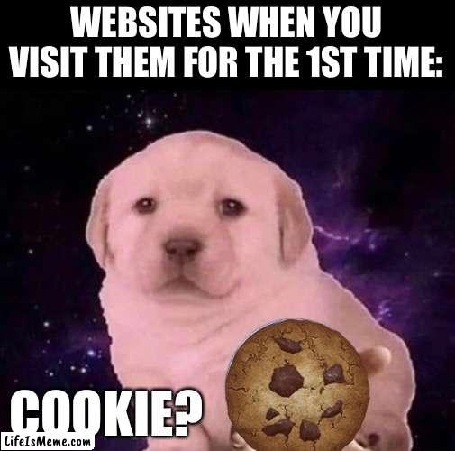 Cookie? | WEBSITES WHEN YOU VISIT THEM FOR THE 1ST TIME:; COOKIE? | image tagged in dog gives the dvd,memes,funny,cookie,websites,relatable memes | made w/ Lifeismeme meme maker