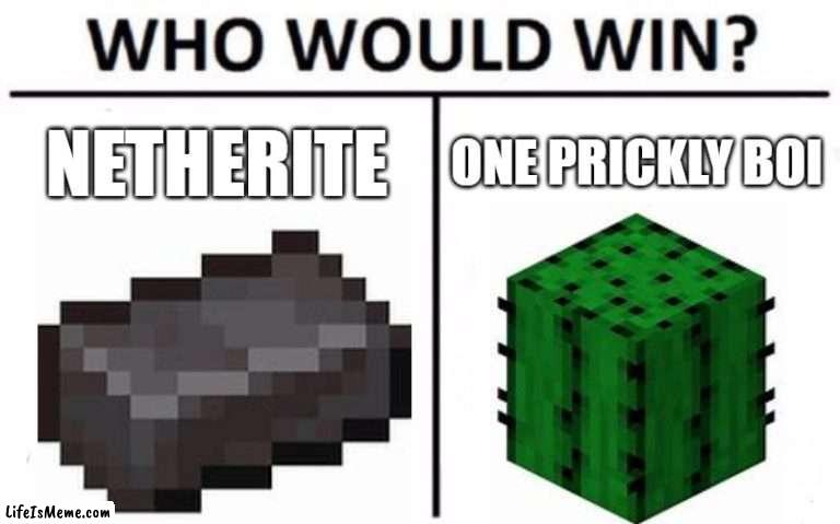 1 boi | NETHERITE; ONE PRICKLY BOI | image tagged in memes,who would win,lol | made w/ Lifeismeme meme maker