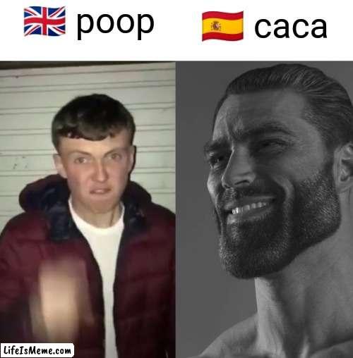 I'm not really spanish | 🇬🇧 poop; 🇪🇸 caca | image tagged in average fan vs average enjoyer,english,spanish,poop | made w/ Lifeismeme meme maker