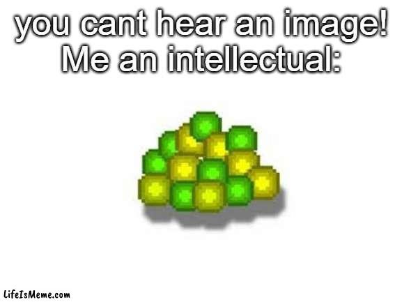 [Interesting Title] | you cant hear an image!
Me an intellectual: | image tagged in minecraft,funny,memes,relatable,big brain | made w/ Lifeismeme meme maker